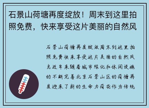 石景山荷塘再度绽放！周末到这里拍照免费，快来享受这片美丽的自然风光！